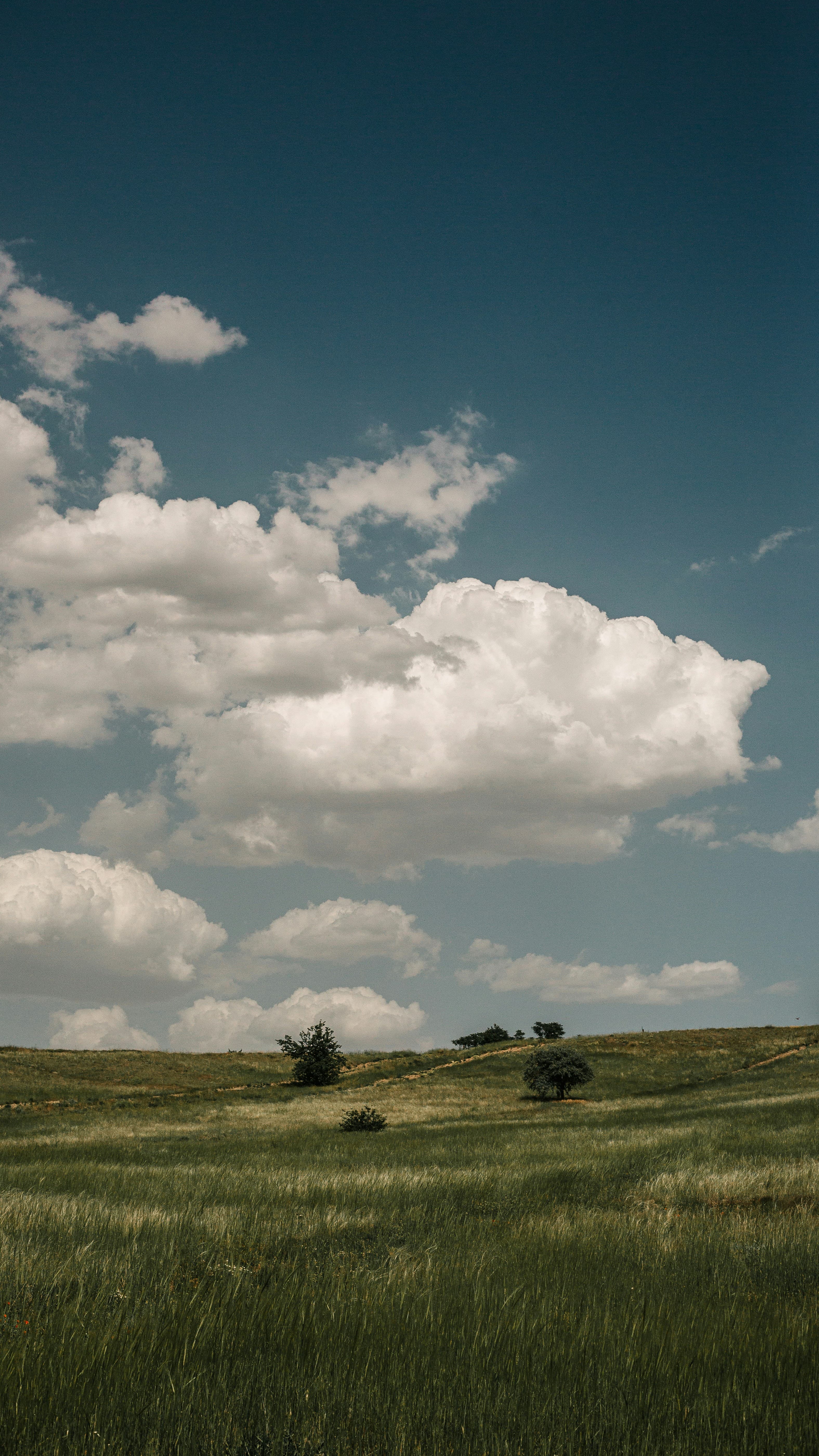 Weather App